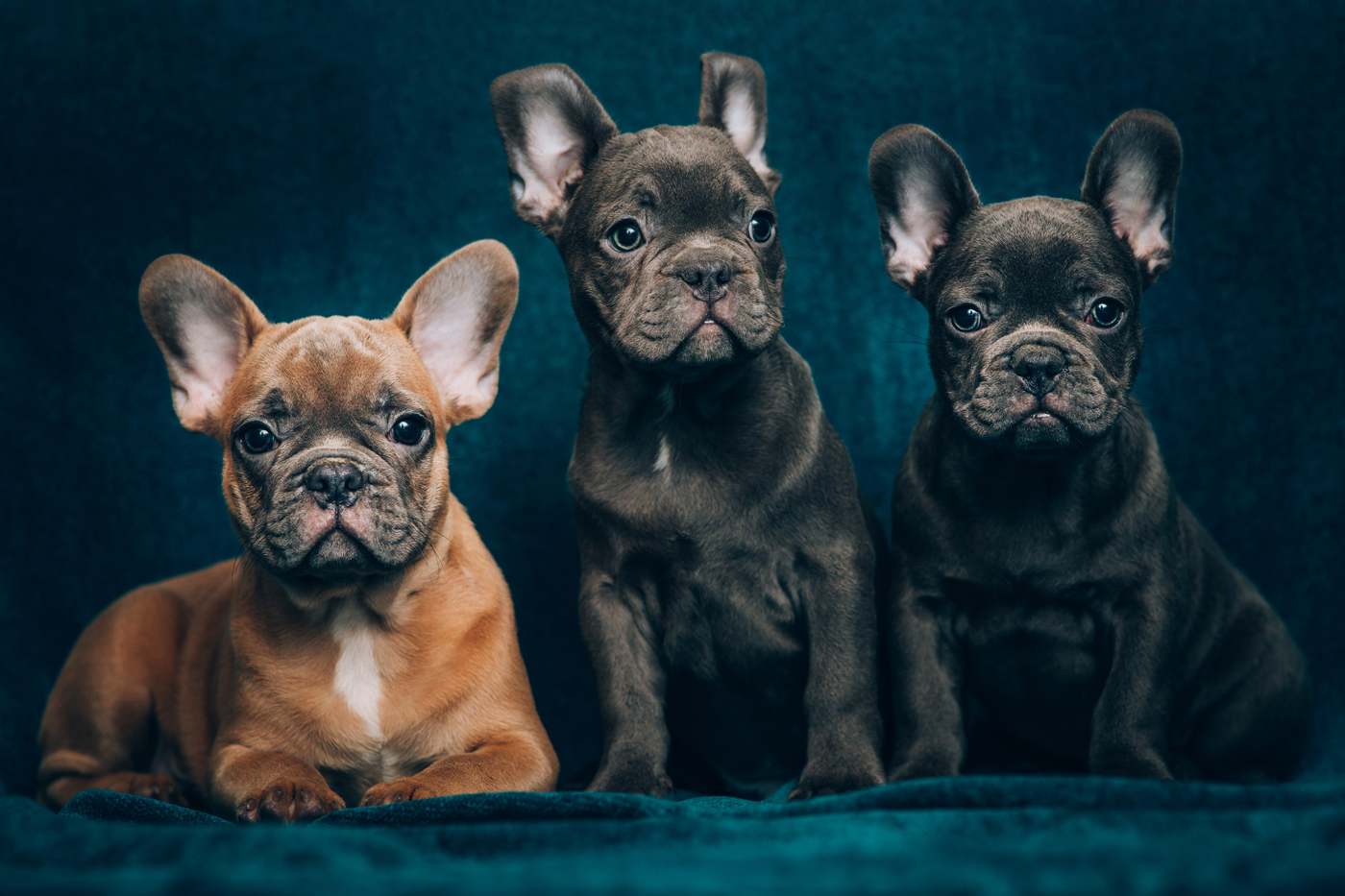 Because They’re Family, Too.